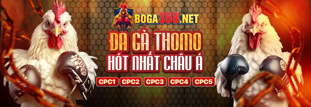 VClub link vào - Nền tảng cá cược trực tuyến hàng đầu Việt Nam